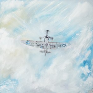 Supermarine Spitfire door Vincent Alexander Booth
